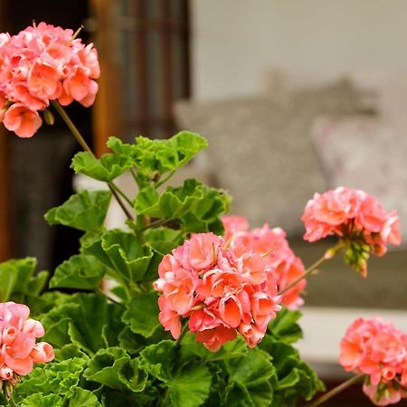 Blue Lily Retreat Bed & Breakfast Matjiesrivier  Ngoại thất bức ảnh