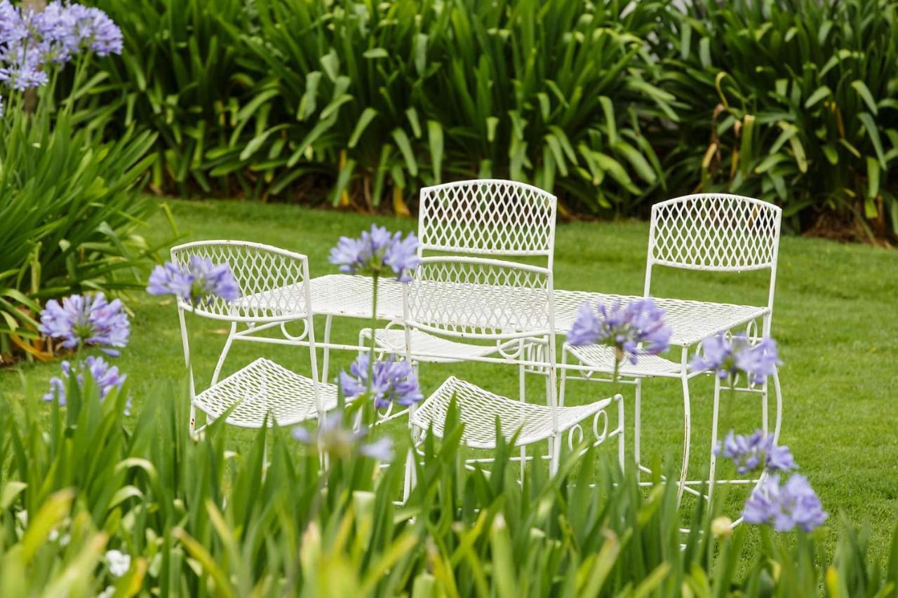 Blue Lily Retreat Bed & Breakfast Matjiesrivier  Ngoại thất bức ảnh