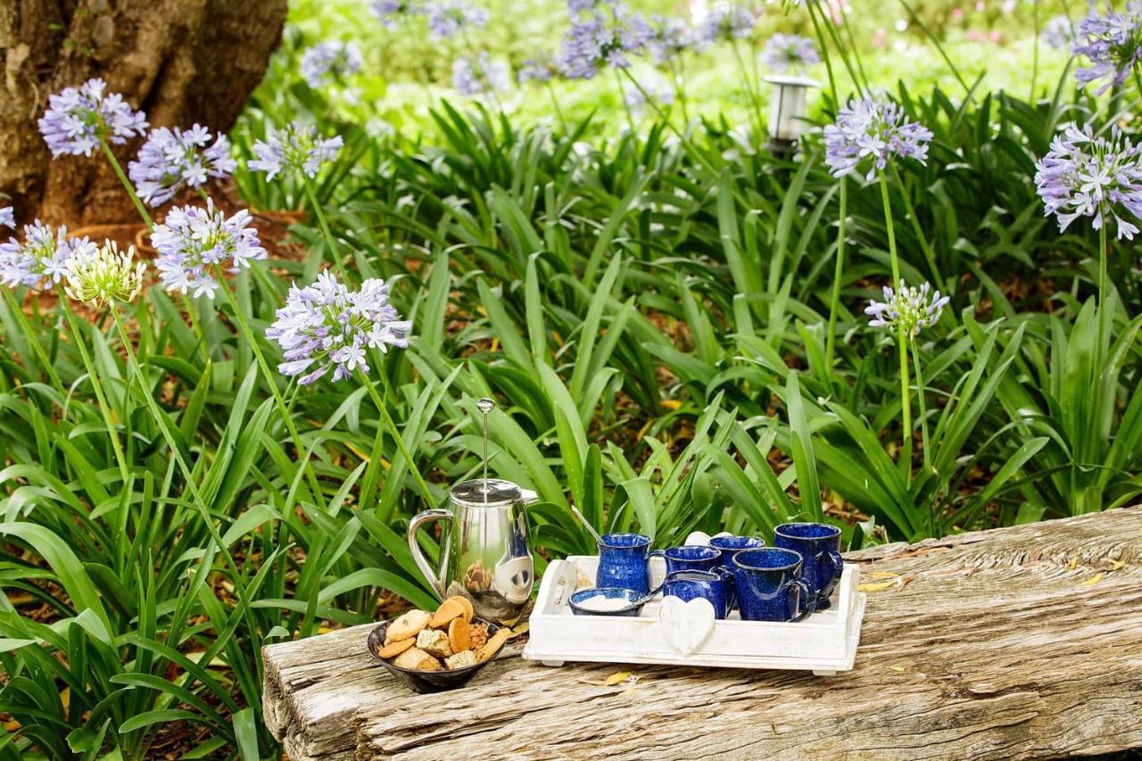 Blue Lily Retreat Bed & Breakfast Matjiesrivier  Ngoại thất bức ảnh