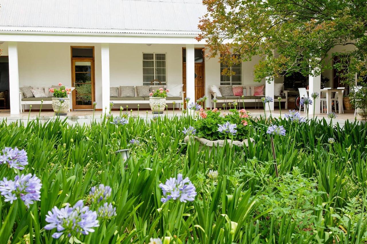 Blue Lily Retreat Bed & Breakfast Matjiesrivier  Ngoại thất bức ảnh